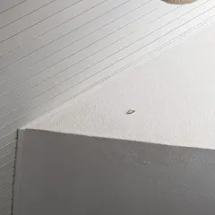 Ein kleiner Fleck an der Decke könnte auf versteckten Schimmel hindeuten.