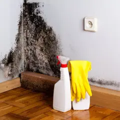 Schimmel in der Wohnung: Ein Putzmittel, gelbe Handschuhe und eine Steckdose sind bereit, den dunklen Flecken an der Wand entgegenzutreten.
