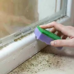 Schimmel am Fenster wird mit einem Schwamm entfernt. Feuchtigkeit und dunkle Flecken sind sichtbar.