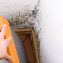 Schimmelbefall an der Wand und Decke im Keller, ein deutliches Zeichen für hohe Luftfeuchtigkeit. Ein orangefarbener Gegenstand wird zur Seite geschoben.