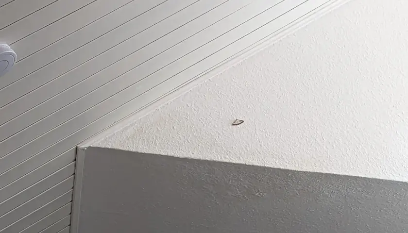 Ein kleiner Fleck an der Decke könnte auf versteckten Schimmel hindeuten.