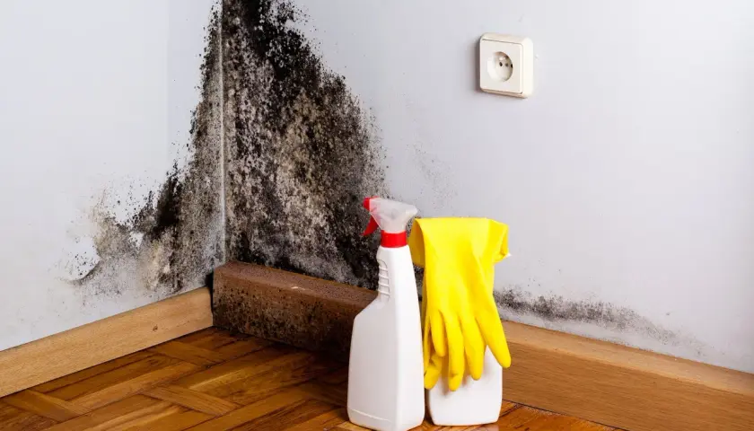 Schimmel in der Wohnung: Ein Putzmittel, gelbe Handschuhe und eine Steckdose sind bereit, den dunklen Flecken an der Wand entgegenzutreten.