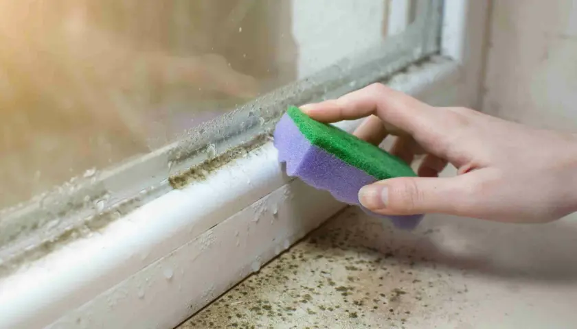 Schimmel am Fenster wird mit einem Schwamm entfernt. Feuchtigkeit und dunkle Flecken sind sichtbar.