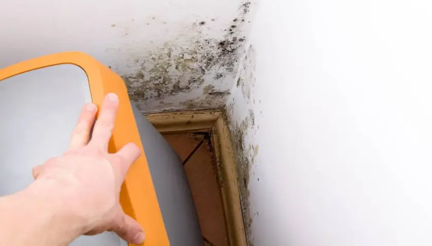 Schimmelbefall an der Wand und Decke im Keller, ein deutliches Zeichen für hohe Luftfeuchtigkeit. Ein orangefarbener Gegenstand wird zur Seite geschoben.