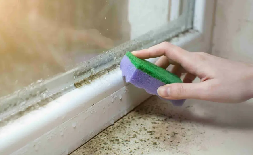 Schimmel am Fenster? Ursachen erkennen und richtig handeln