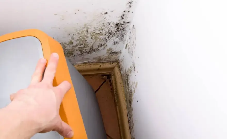 Feuchtigkeit im Keller richtig senken - Ursachen und Lösungen