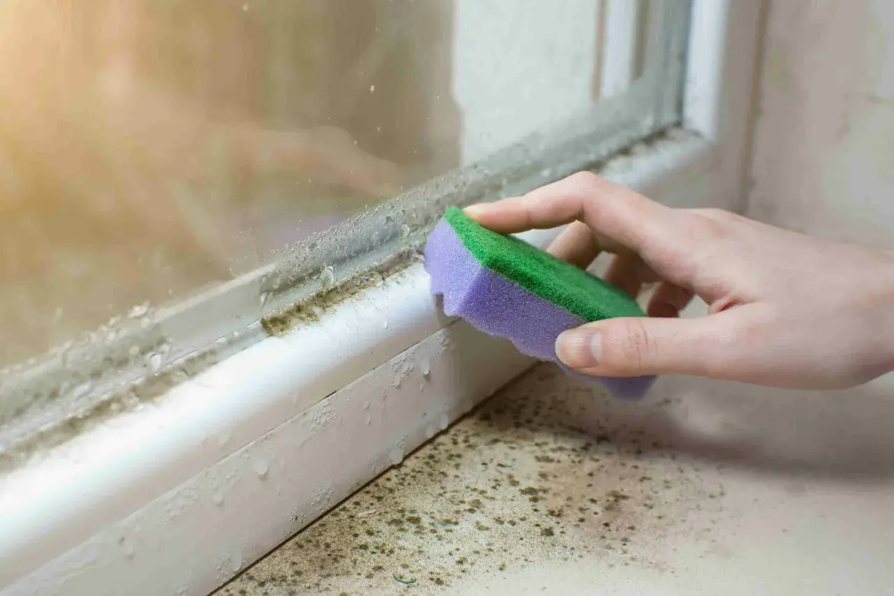 Schimmel am Fenster wird mit einem Schwamm entfernt. Feuchtigkeit und dunkle Flecken sind sichtbar.