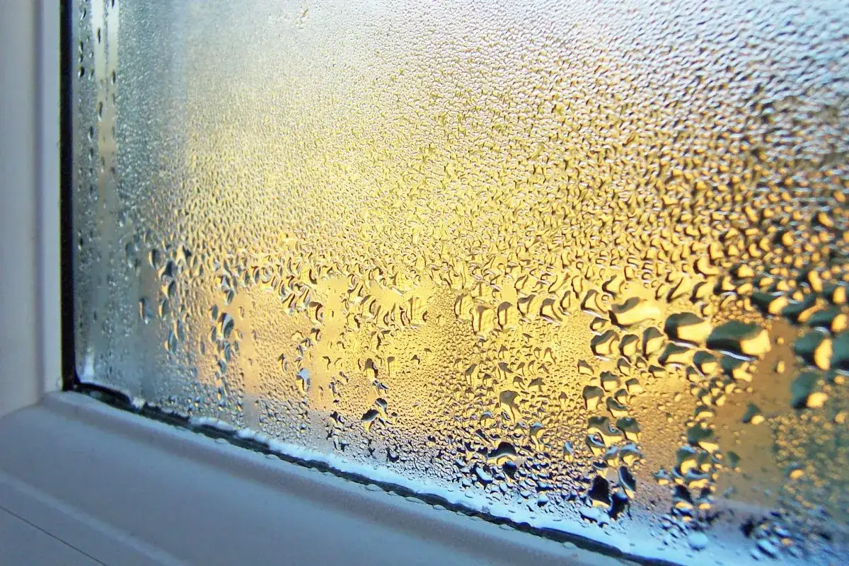 Fenster beschlagen von innen, kleine Wassertropfen bilden ein Muster auf dem Glas, das warme Licht scheint durch.