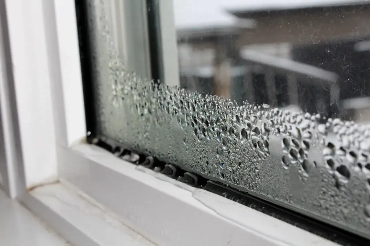 Kondenswasser bildet einen schimmelartigen Belag am Fensterrahmen.